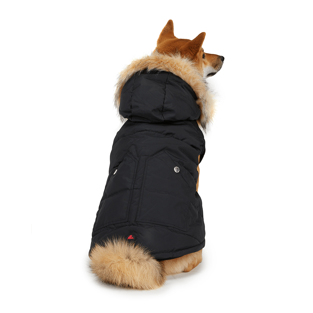 Barnard Quilted Dog Jacket WAGSUP