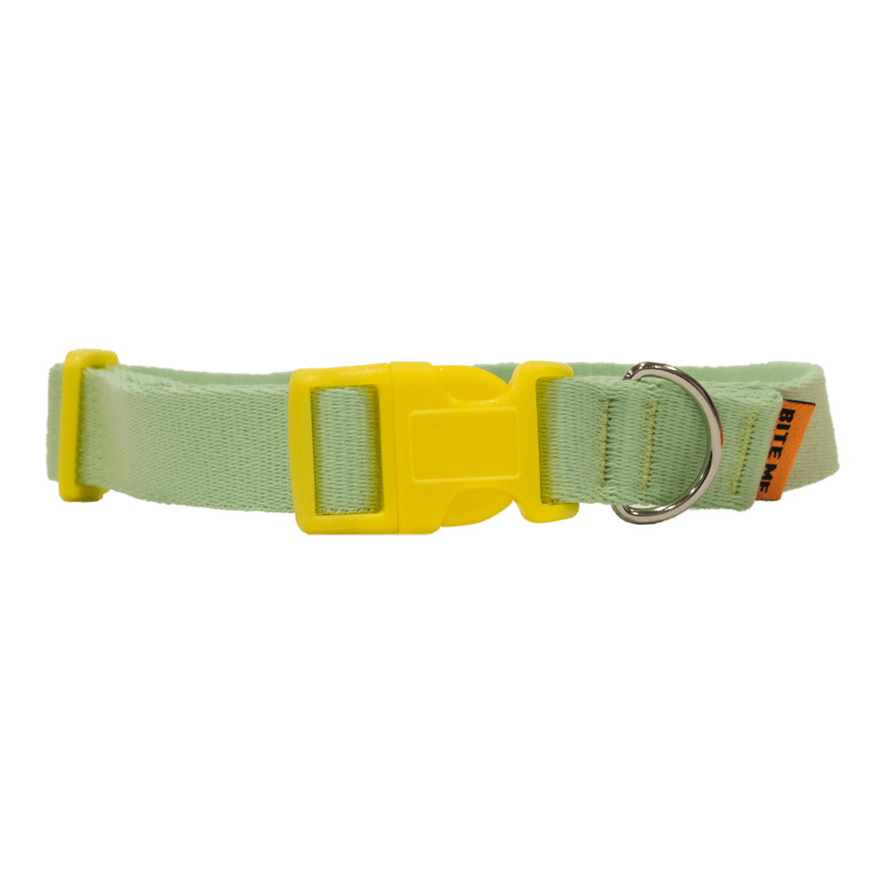 Light green 2024 dog collar