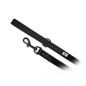 Nylon Accent Leash (Black)