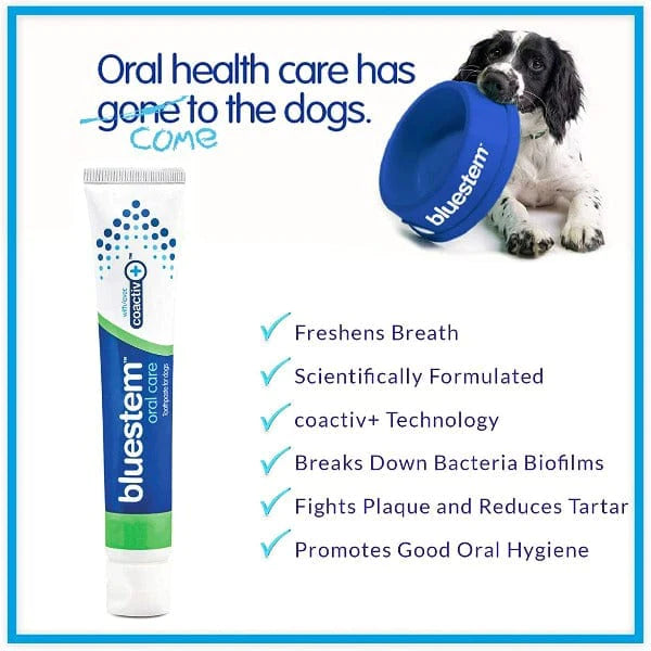 Oral Care Kit Vanilla Mint for Dogs WAGSUP