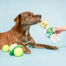 Load image into Gallery viewer, Tennis Hooman Nosework Toy
