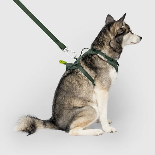 The Everything Harness with Poop Dispenser Forest Green WAGSUP